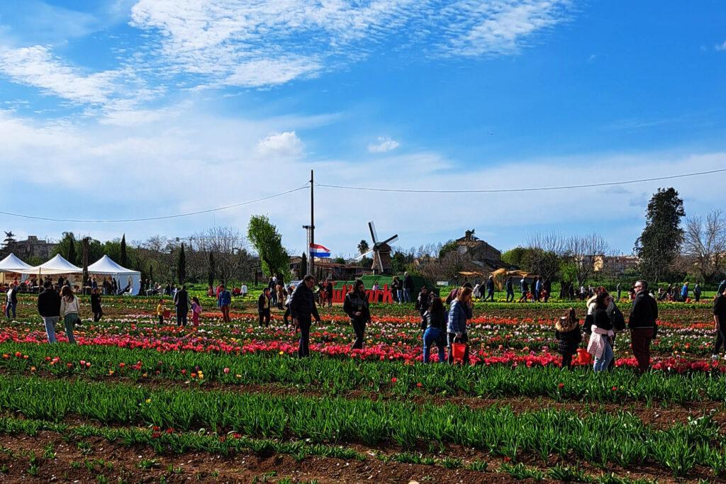 Il mulino olandese al Tulipark di Roma