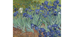 Tre mostre a Napoli Degas, Gentileschi, Van Gogh - Van Gogh - Iris