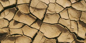 La Giornata mondiale delle Nazioni Unite per la lotta alla desertificazione e alla siccità