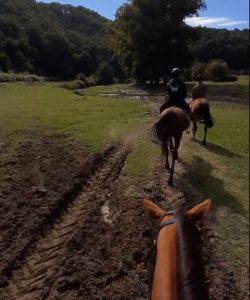 Lazio passeggiata a cavallo Valle del Sorbo
