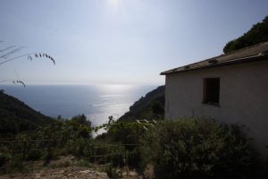 The Molini and San Fruttuoso agri-refuge - Molini panorama 2