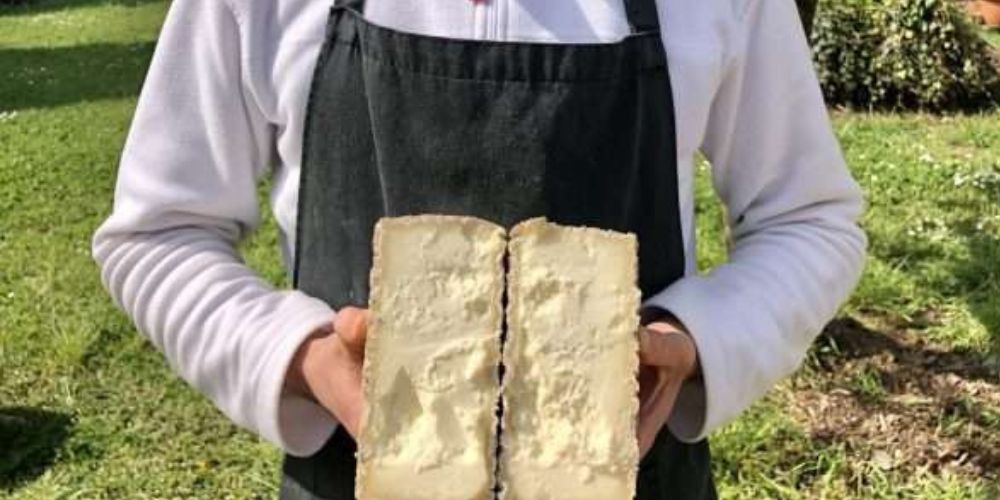 Pecorino cheese made by Andrea Cillo