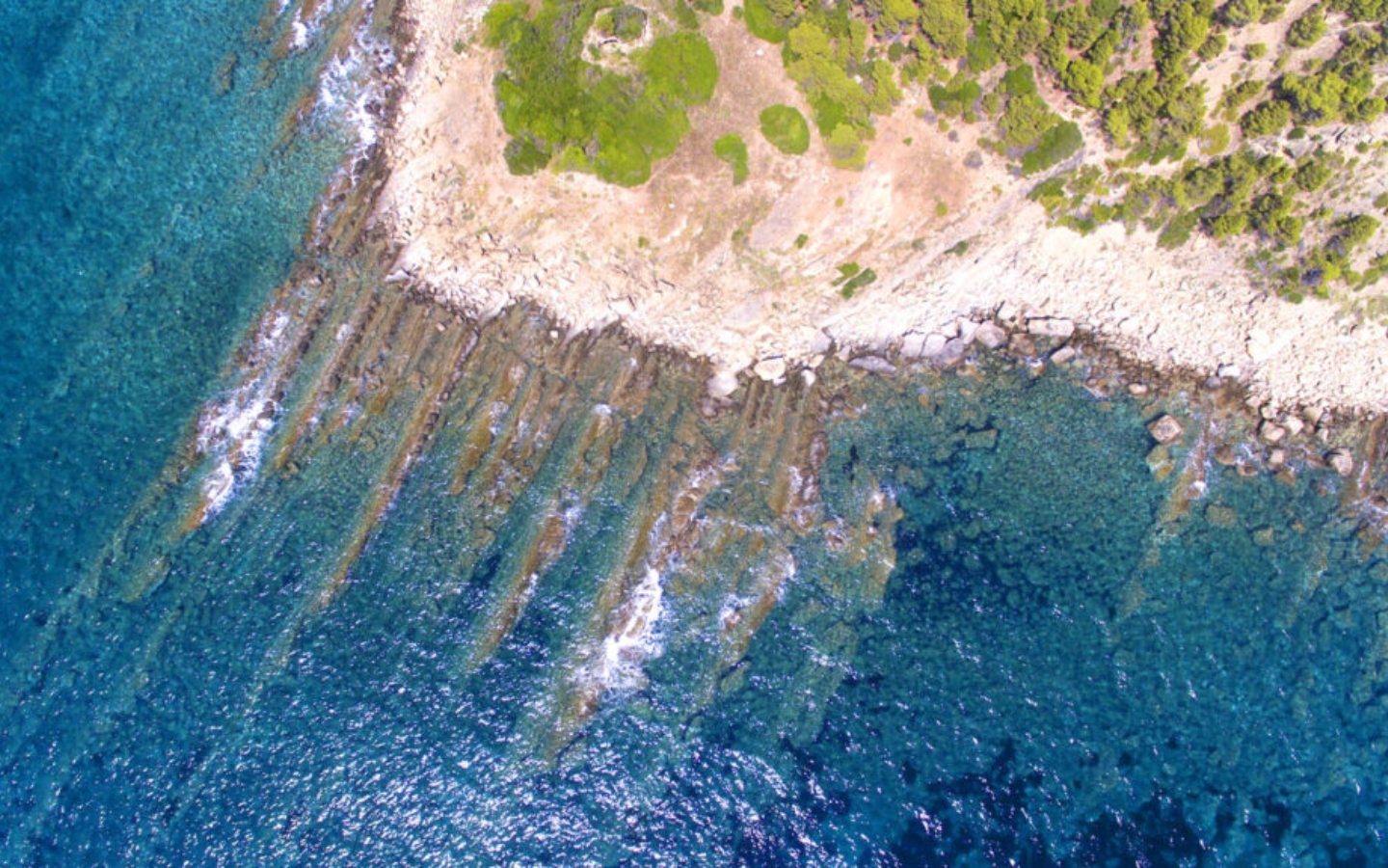 Area Marina Protetta Santa Maria di Castellabate