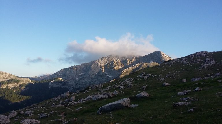 La via dei Lupi; un meraviglioso viaggio nella natura.