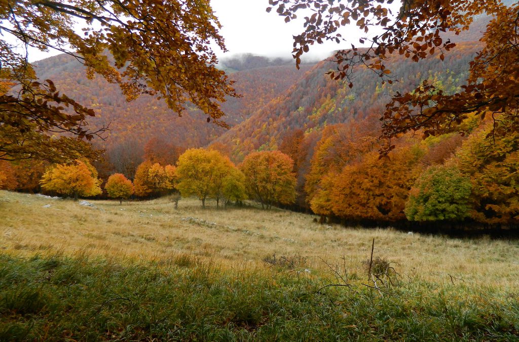 La via dei Lupi; un meraviglioso viaggio nella natura.