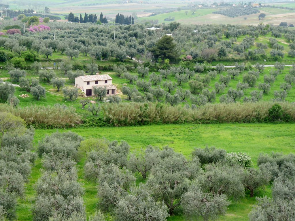 Paesaggio tipico della maremma, veduta panoramica