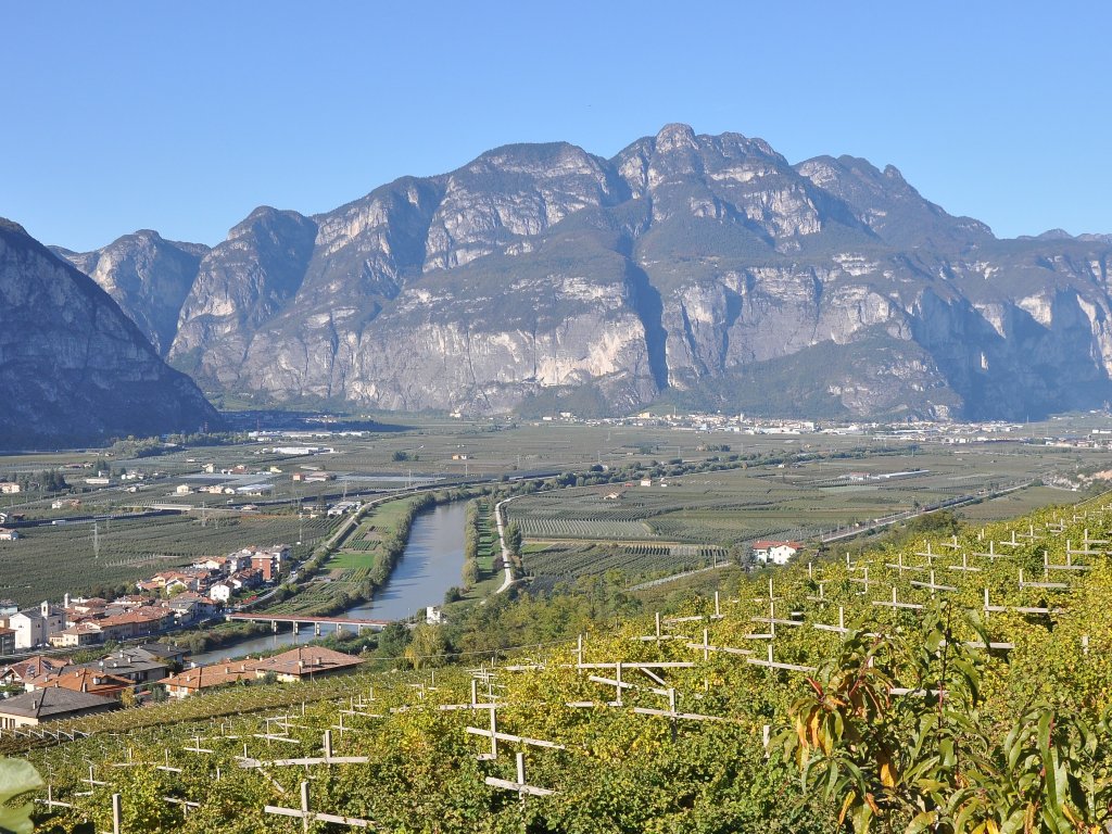 L'attesissimo evento del DiVin Ottobre è alle porte.