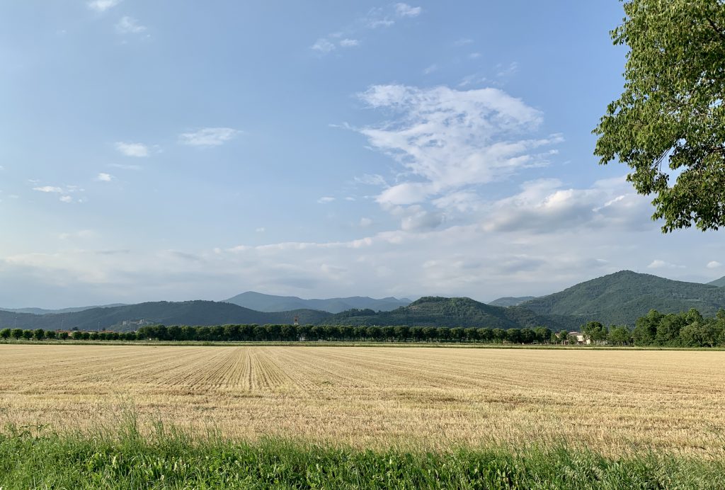 Paesaggio della Franciacorta, colline e vigneti