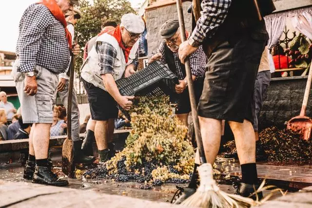 Festa della vendemmia di Piedimonte Etneo