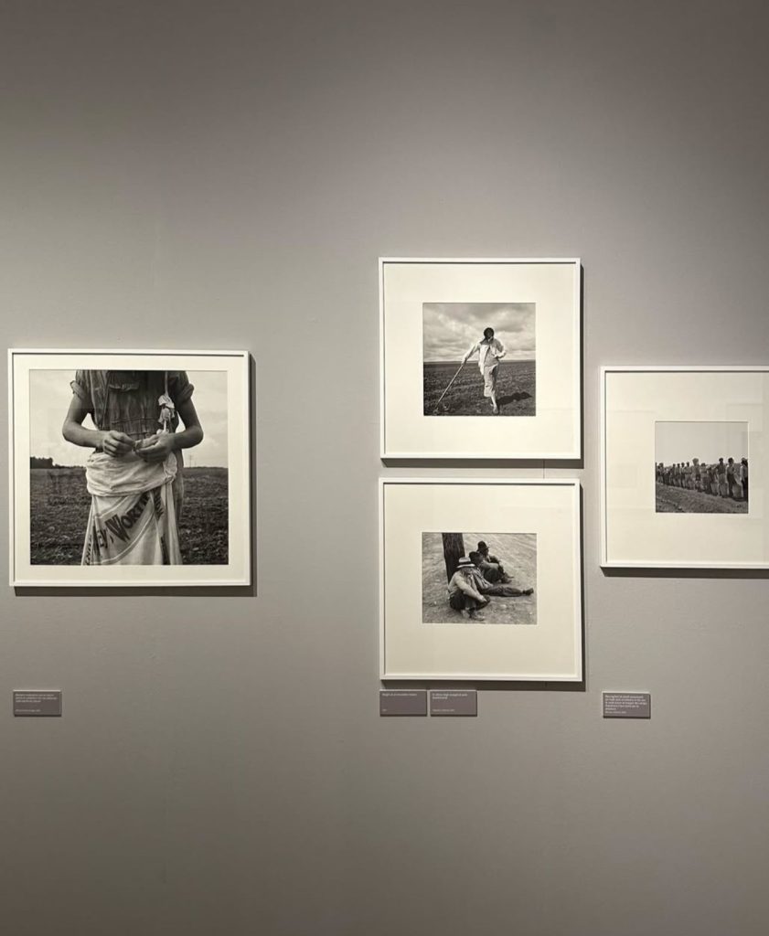 Scatti fotografici Dorothea Lange