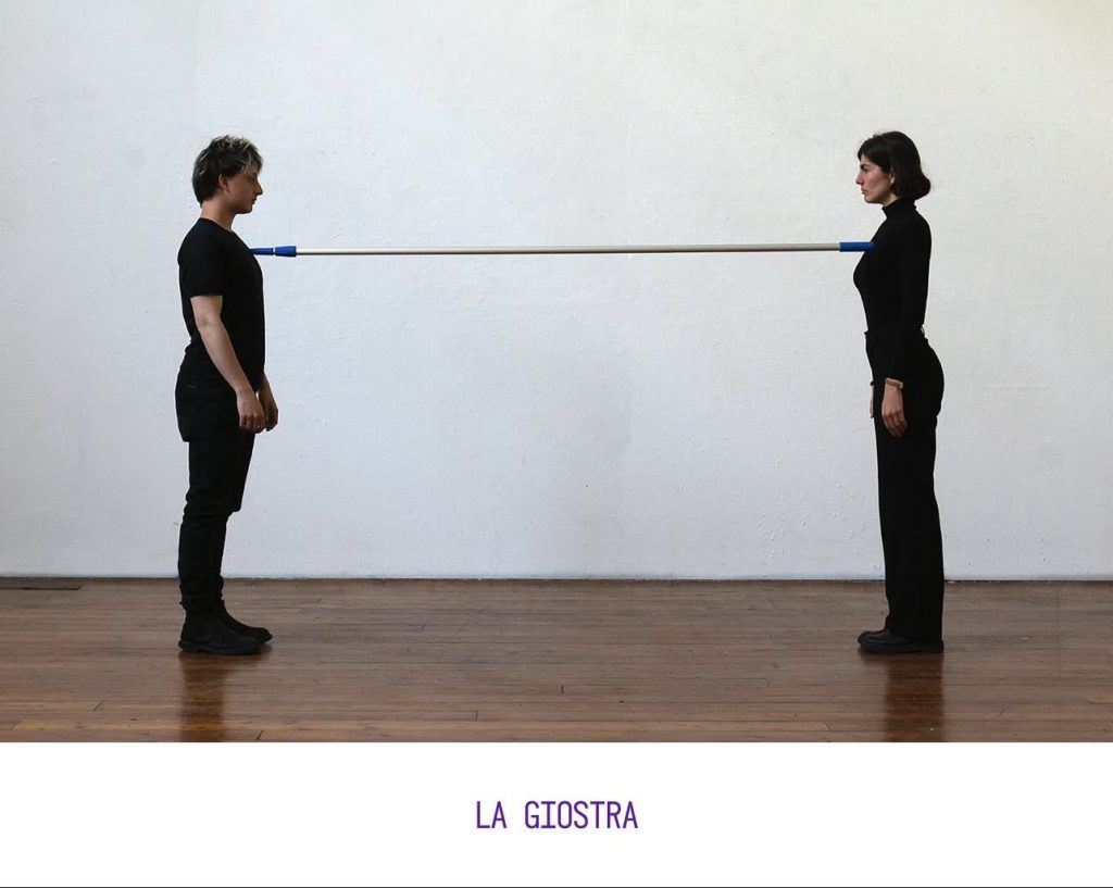 La giostra progetto