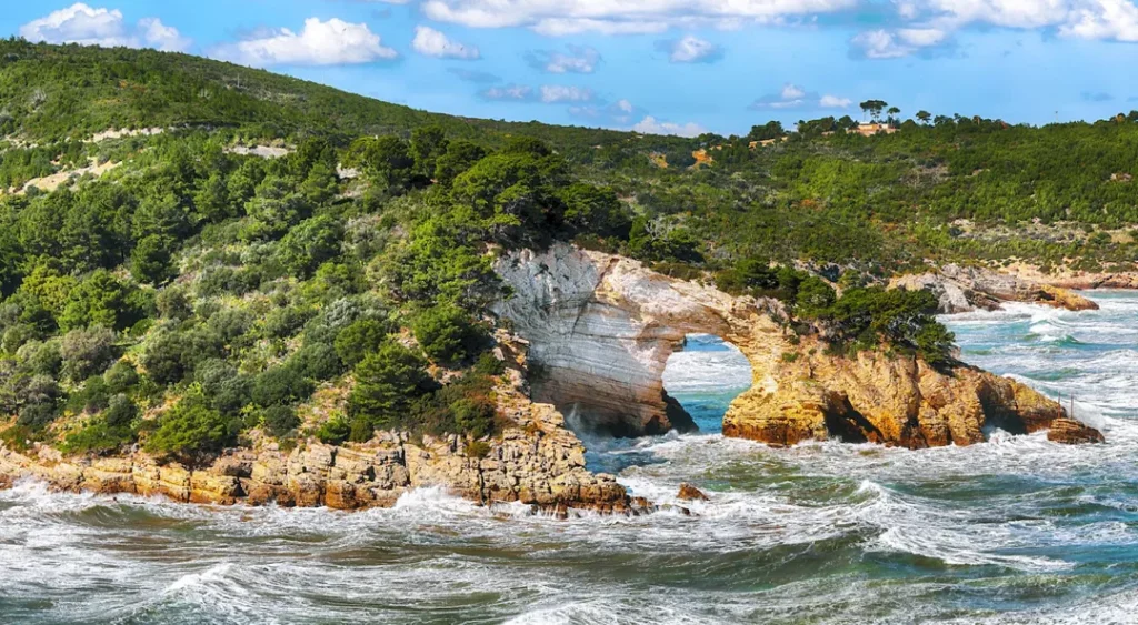 Parco Nazionale del Gargano
Credit - Italia.it