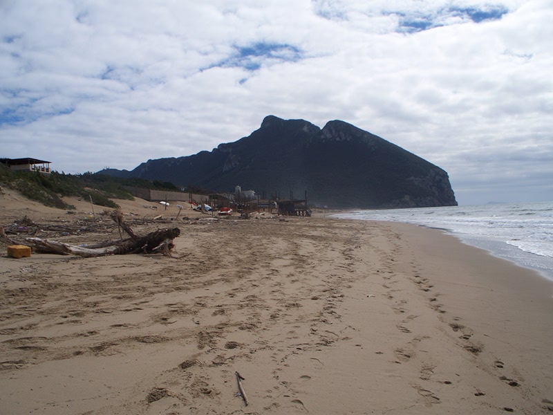 Duna
Credit - Parco Nazionale del Circeo