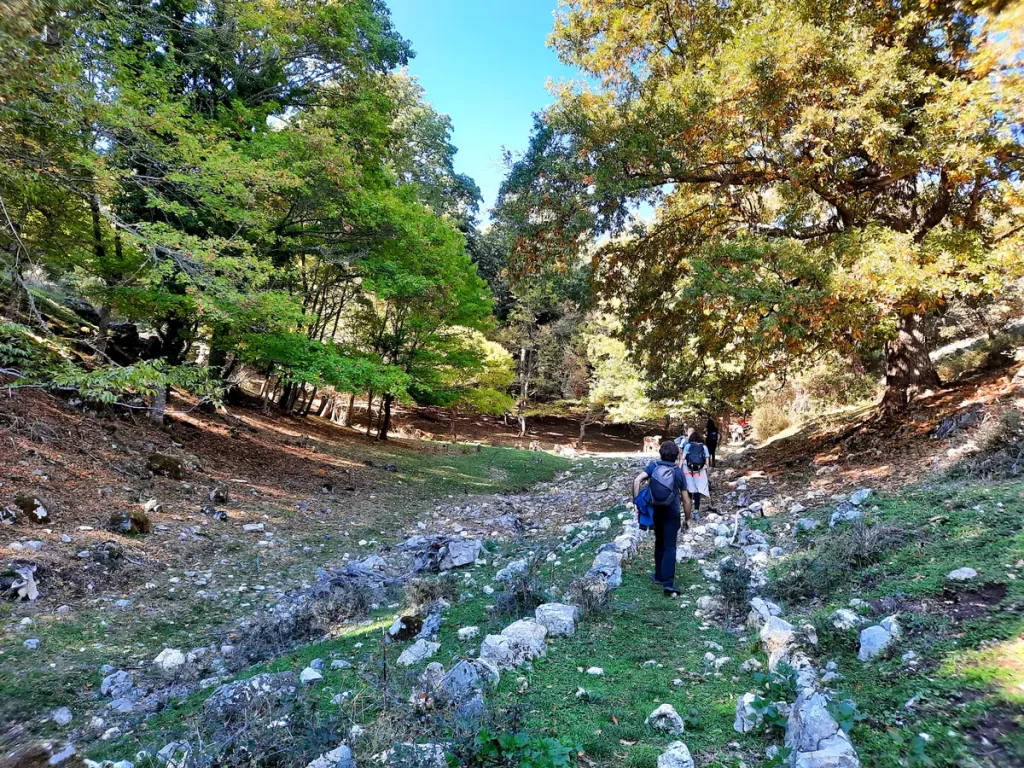 Grande Traversata Garganica
Credit - Garganotour